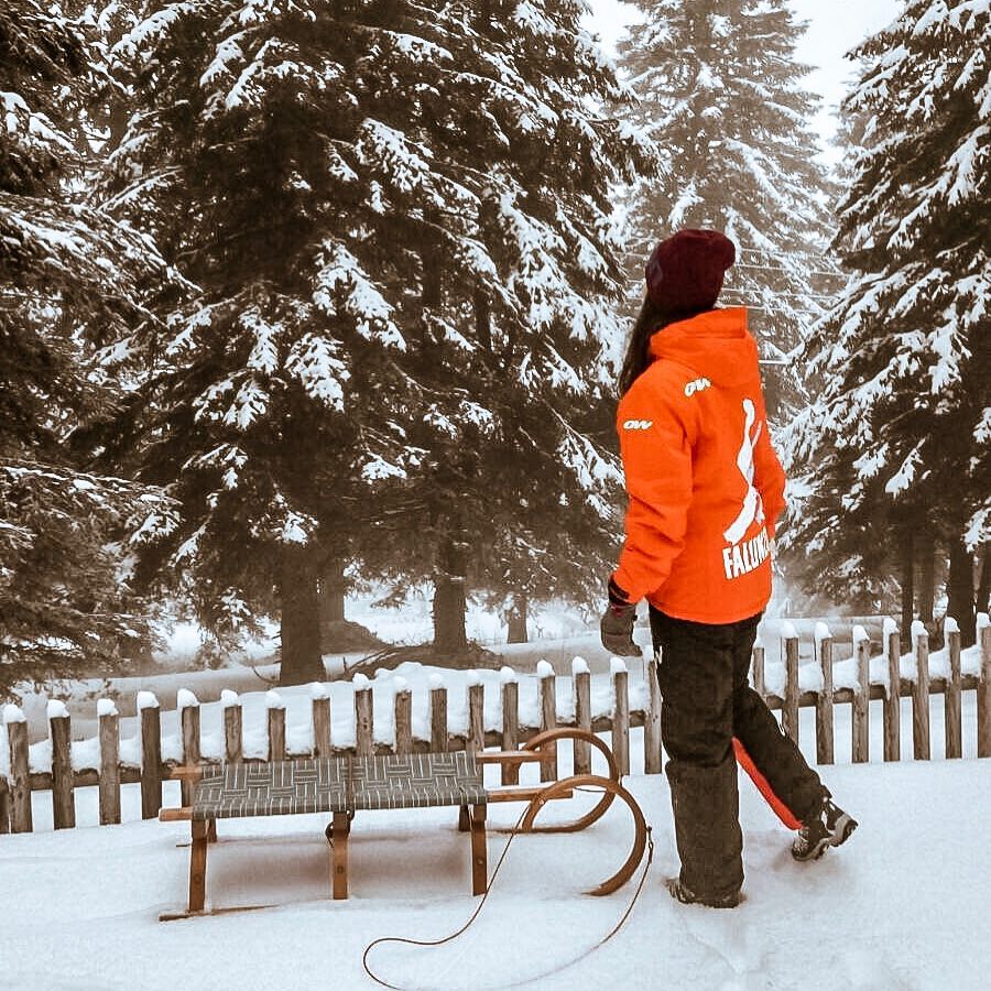 Snowboard w Austrii – region Karyntii