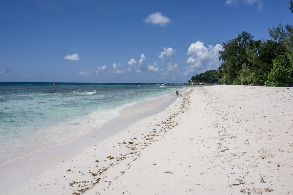 Rajska plaża na Seszelach zdjęcie bez filtra Rajska plaża na seszelach zdjęcie bez filtra
