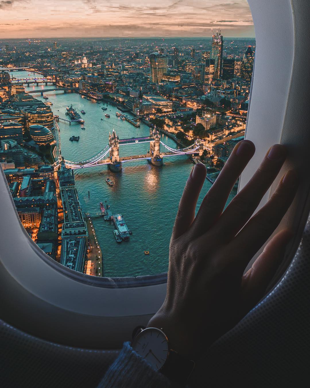 London Plane window view