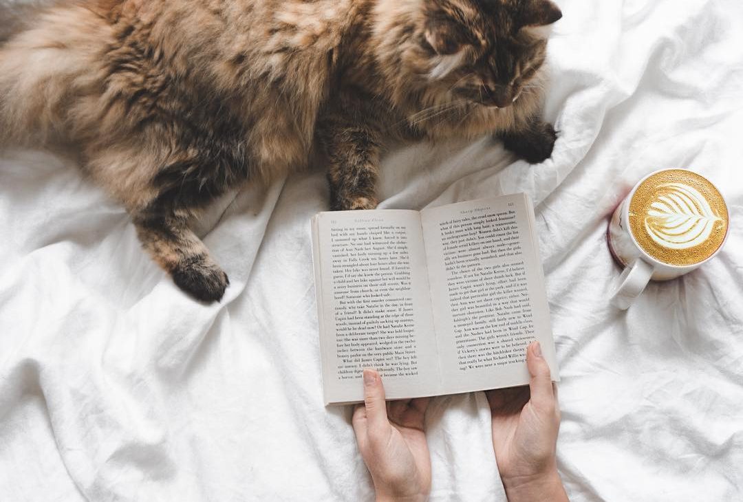girl reading a book with the cat